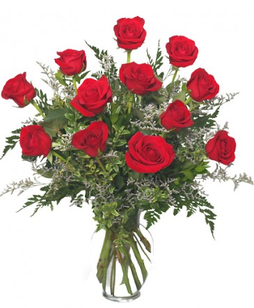 Classic Dozen Roses Red Rose Arrangement