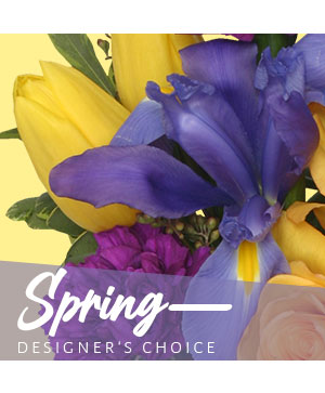 Spring Designer's Choice in Gloversville, NY | PECK'S FLOWERS